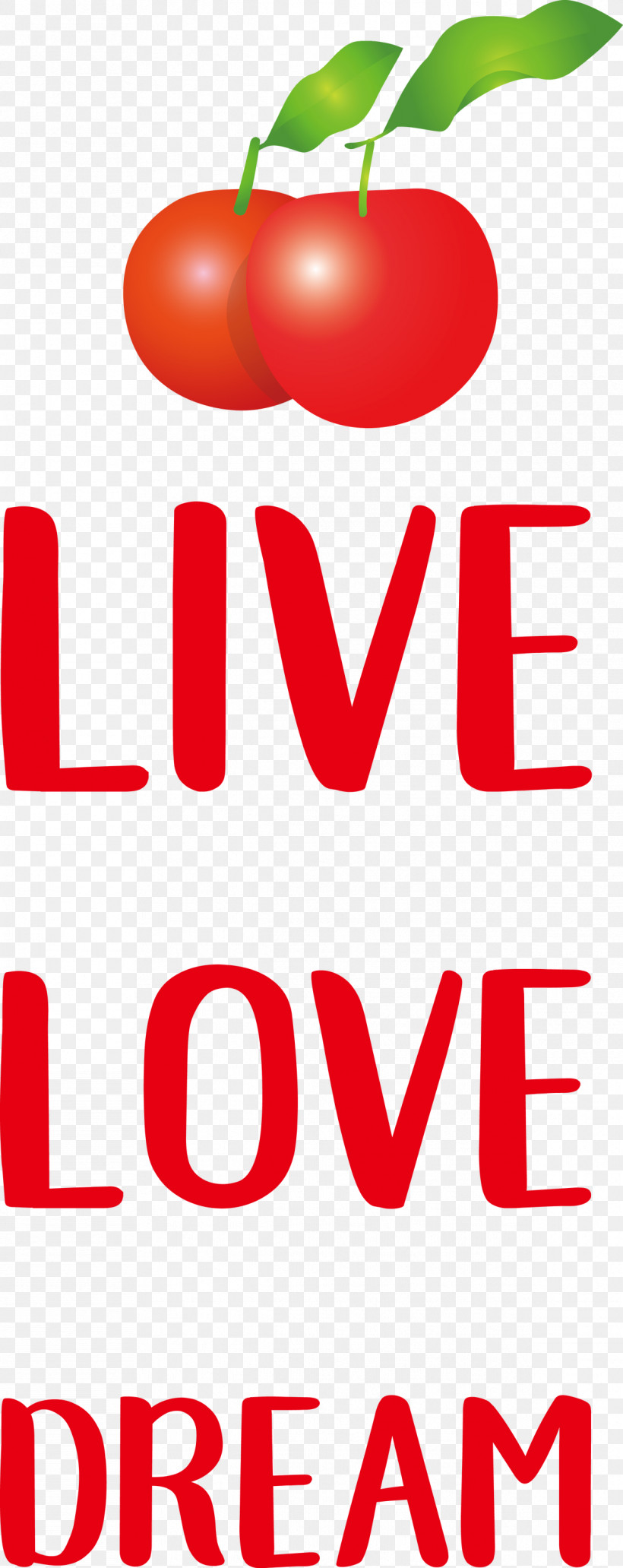 Live Love Dream, PNG, 1192x3000px, Live, Dream, Flower, Fruit, Geometry Download Free