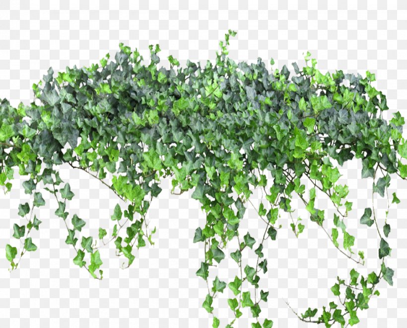 Weeping Willow Computer File, PNG, 976x786px, Weeping Willow, Branch, Computer Graphics, Flowerpot, Grass Download Free