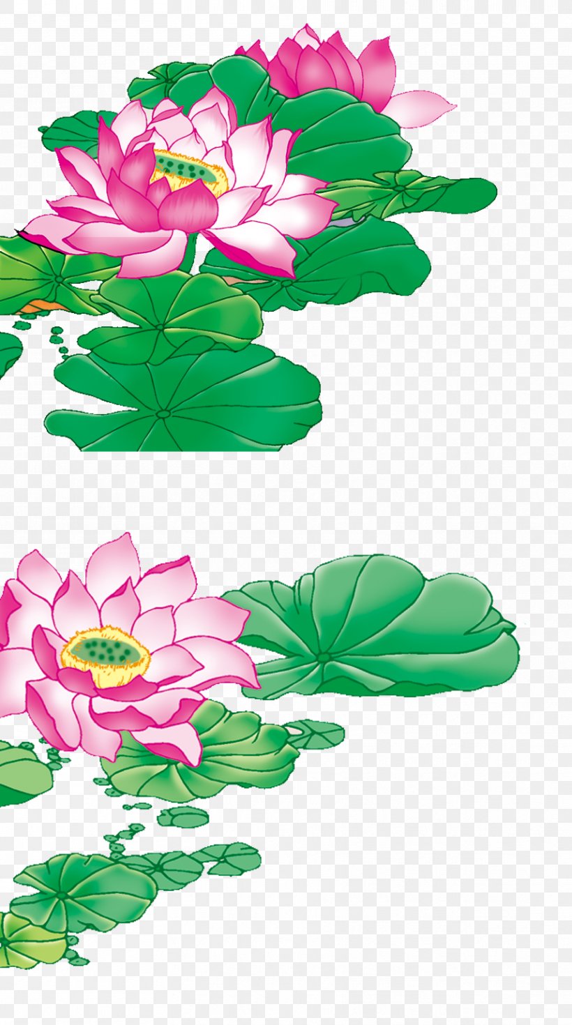 Designer, PNG, 858x1539px, Designer, Aquarium Decor, Aquatic Plant, Cut Flowers, Flora Download Free
