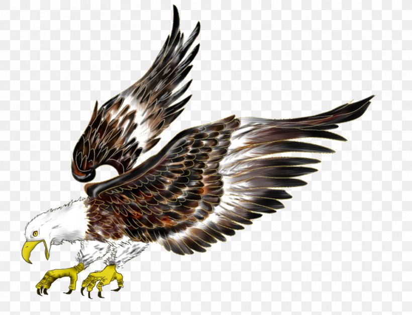 Bald Eagle Flight Hawk Bird, PNG, 965x738px, Bald Eagle, Accipitriformes, Beak, Bird, Bird Of Prey Download Free