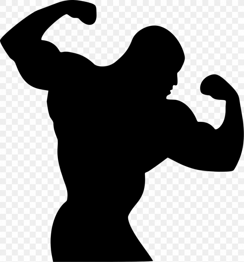 Bodybuilding.com Muscle Hypertrophy Exercise Professional Bodybuilding, PNG, 951x1024px, Bodybuilding, Arm, Black And White, Bodybuildingcom, Drawing Download Free