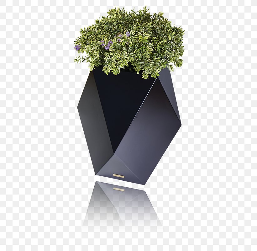 Flowerpot Designer Project Industrial Design, PNG, 467x800px, Flowerpot, Container, Designer, Experience, Flower Download Free