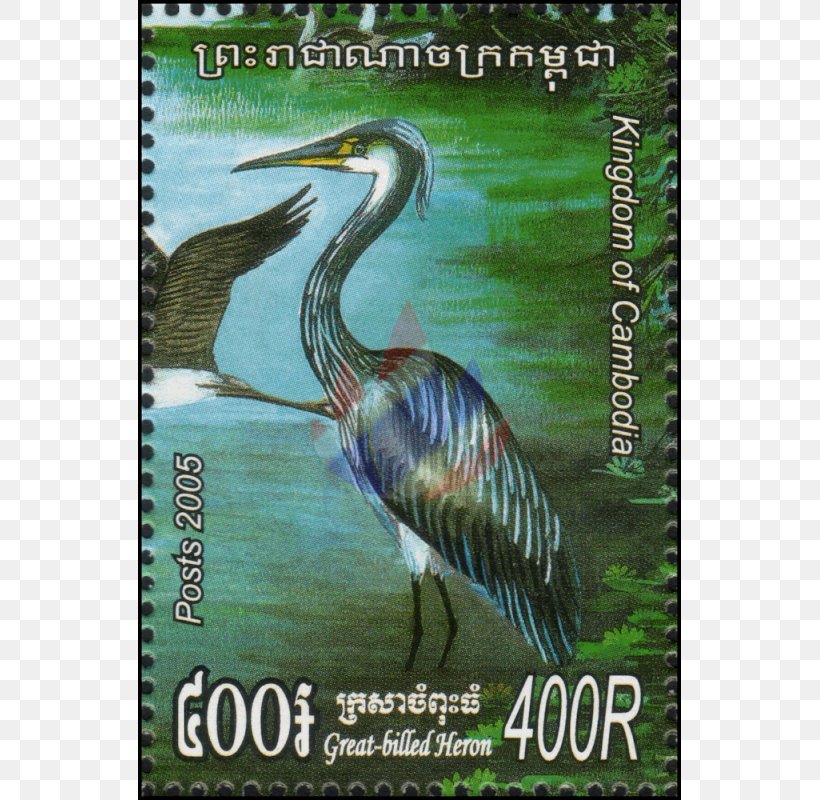 Heron Ecosystem Crane Flora Fauna, PNG, 800x800px, Heron, Address, Advertising, Beak, Bird Download Free