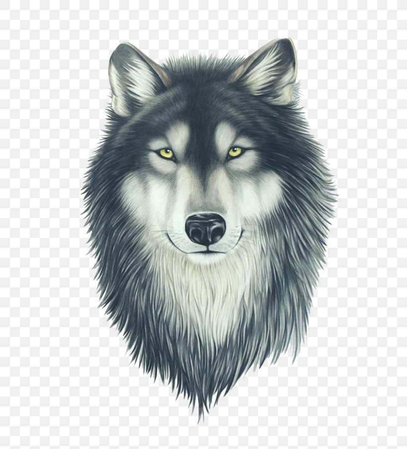 Drawing Pit Bull Painting Wolfdog, PNG, 678x906px, Drawing, Art, Black And White, Black Wolf, Canis Lupus Tundrarum Download Free