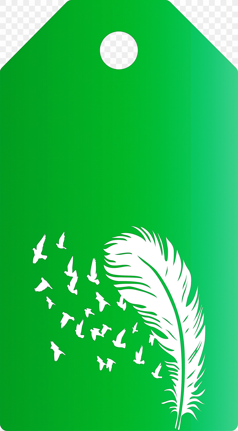 Feather Birds Tag, PNG, 1655x3000px, Feather Birds Tag, Biology, Leaf, Monstera, Monstera Obliqua Download Free