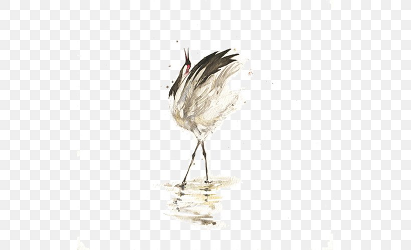 Bird U660eu53f0 Crane, PNG, 511x500px, Bird, Beak, Crane, Feather, Shorebird Download Free