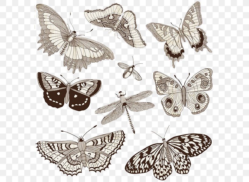 Butterfly Insect Dragonfly Illustration, PNG, 600x600px, Butterfly, Arthropod, Black And White, Brush Footed Butterfly, Cartoon Download Free