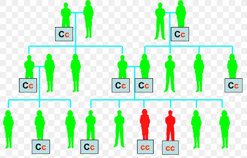 Cystic Fibrosis Dominance Mendelian Inheritance Allele Genetics, PNG, 800x527px, Cystic Fibrosis, Allel Recesywny, Allele, Area, Brand Download Free