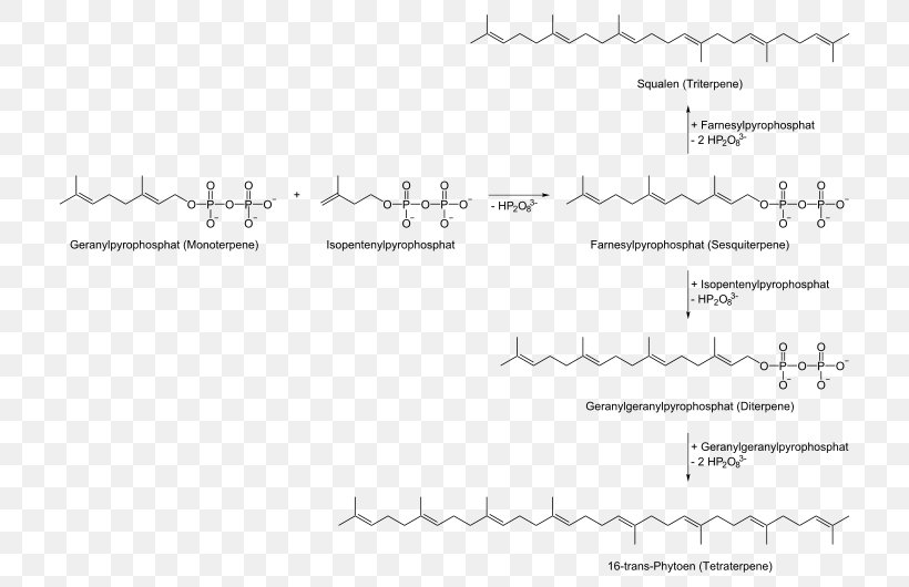 Terpene Biosynthesis Geranyl Pyrophosphate Terpenoid Terpinene, PNG, 750x530px, Terpene, Area, Biogenesis, Biosynthesis, Black And White Download Free