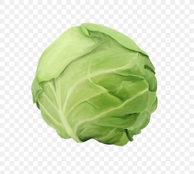 Cabbage Roll Capitata Group Kraut Vegetable Food, PNG, 800x734px, Cabbage Roll, Brassica Oleracea, Brussels Sprout, Cabbage, Camu Camu Download Free