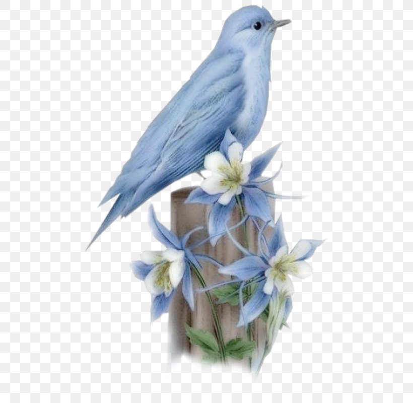 Hummingbird Bluebird Of Happiness, PNG, 506x800px, Bird, African Fish Eagle, Beak, Bird Of Prey, Blue Download Free