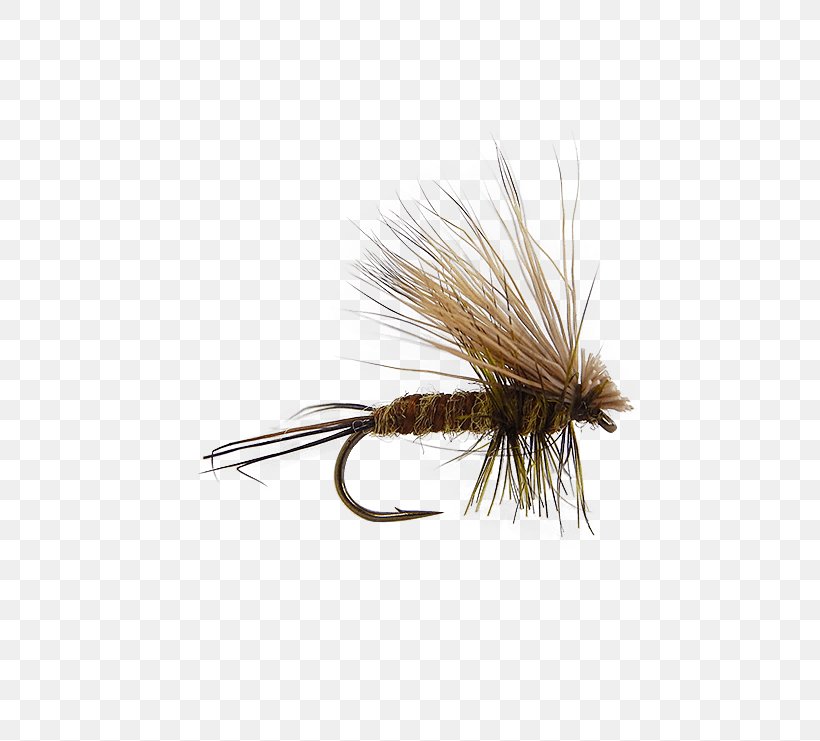 Artificial Fly Fly Fishing Blue Trout Flies: Naturals And Imitations, PNG, 555x741px, Fly, Artificial Fly, Bass, Blue, Bluegill Download Free