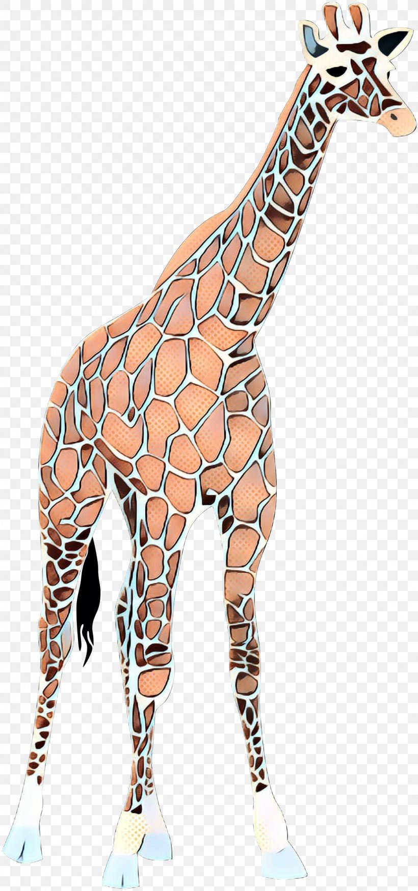 Clip Art Vector Graphics Illustration Image, PNG, 1125x2400px, Royaltyfree, Animal Figure, Fawn, Giraffe, Giraffidae Download Free