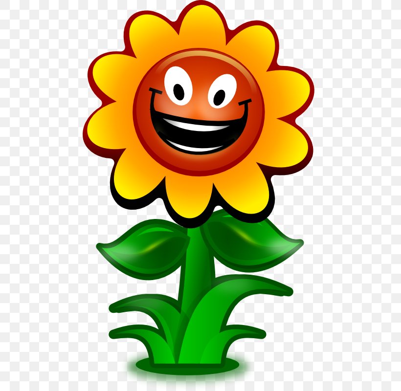 Common Sunflower Smiley Cartoon Clip Art Png 482x800px Common