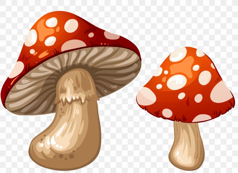 Edible Mushroom Clip Art, PNG, 8000x5837px, Mushroom, Common Mushroom, Coprinus, Drawing, Edible Mushroom Download Free