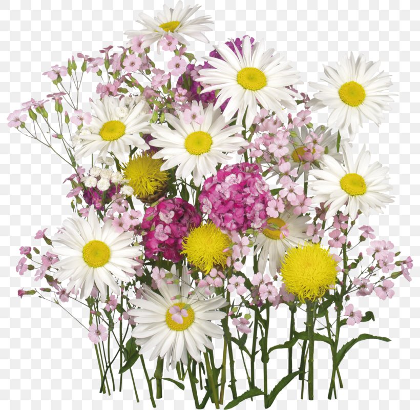 Flower Bouquet Desktop Wallpaper Nosegay Wallpaper, PNG, 794x800px, Flower Bouquet, Annual Plant, Aster, Chamaemelum Nobile, Chamomile Download Free