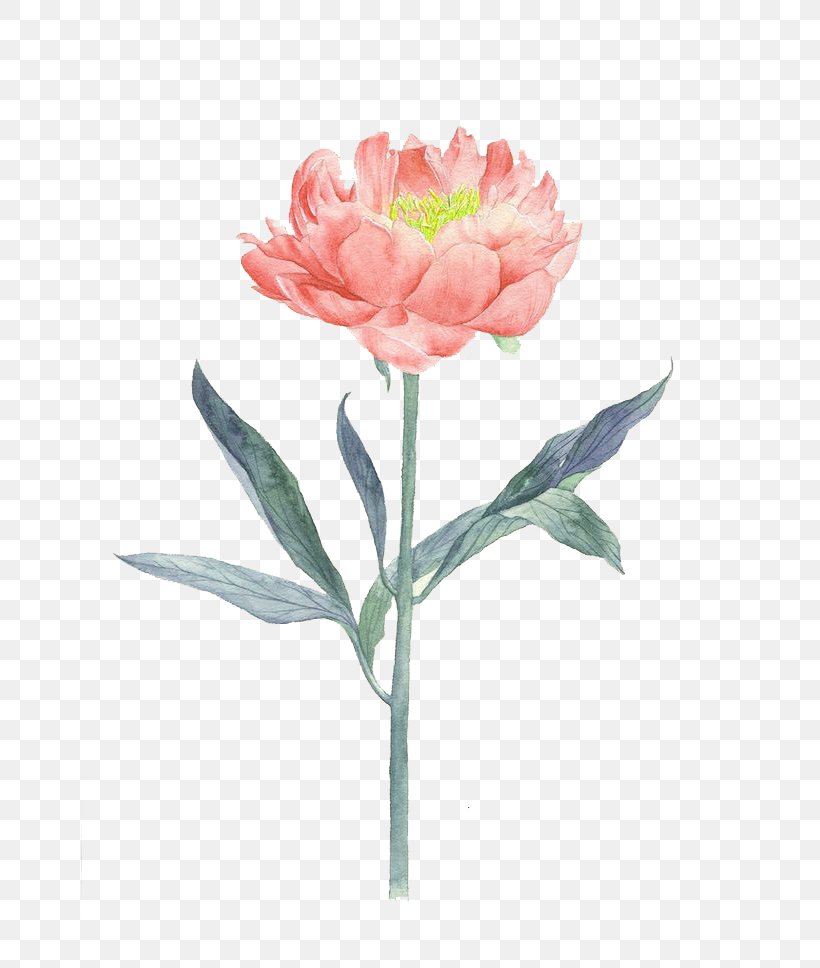 Flower Painting Illustration, PNG, 658x968px, Flower, Artificial Flower, Blomsterbutikk, Centifolia Roses, Cut Flowers Download Free