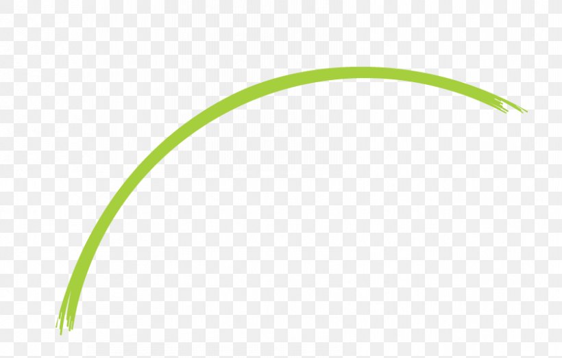 Green Line, PNG, 839x536px, Green, Grass, Leaf, Plant Stem, Sky Download Free