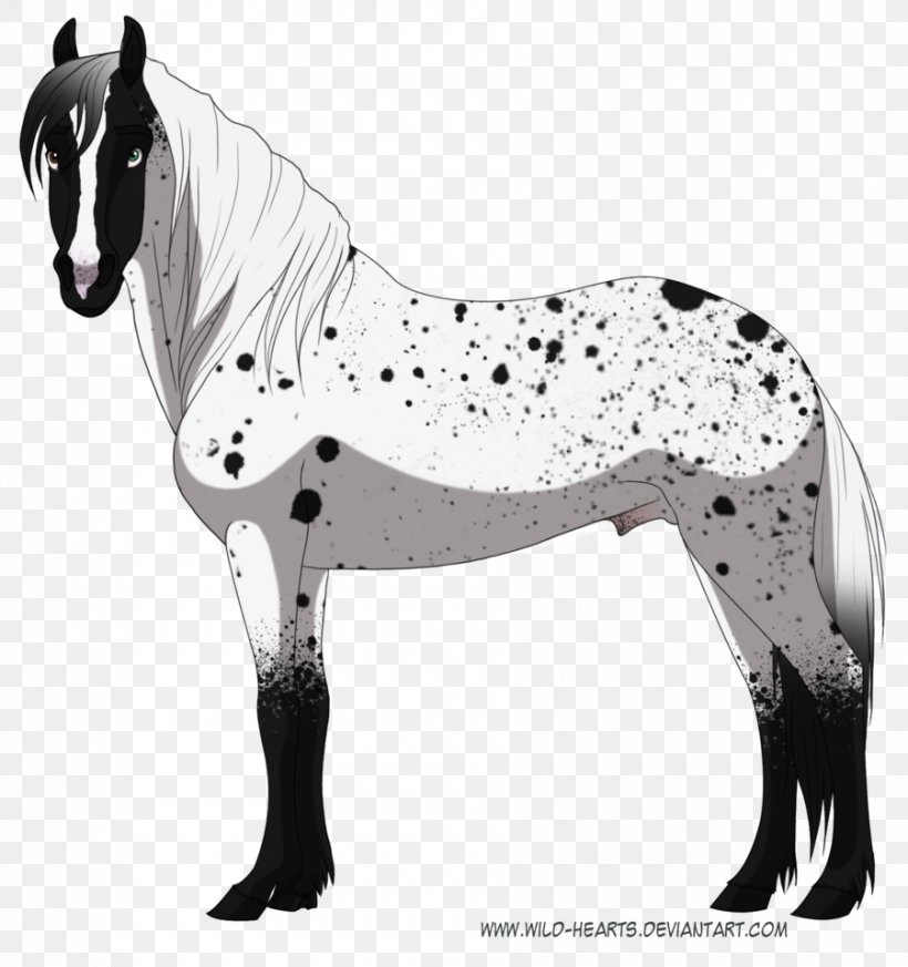 Mane Mustang Stallion Mare Halter, PNG, 900x959px, Mane, Black, Black And White, Bridle, Canidae Download Free
