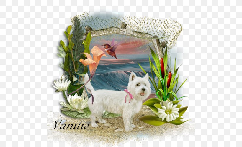 West Highland White Terrier Painting Drawing Manual Of The Mustard Seed Garden Image, PNG, 500x500px, West Highland White Terrier, Art, Blog, Canvas, Carnivoran Download Free