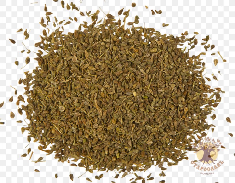 Anise Nalewka Seed Herb Infusion, PNG, 1024x800px, Anise, Basil, Decoction, Herb, Hojicha Download Free
