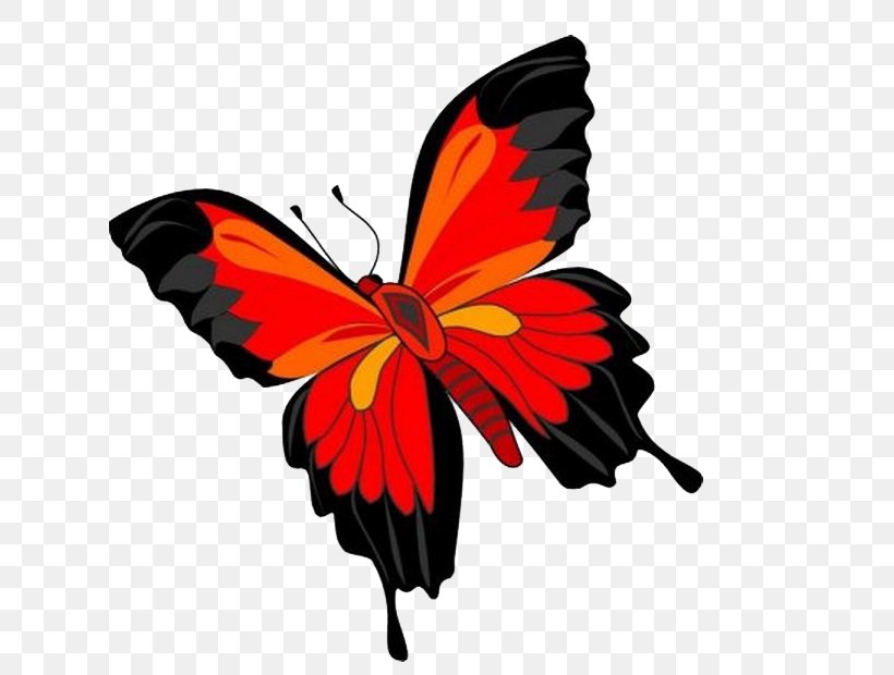 Butterfly Clip Art, PNG, 641x620px, Butterfly, Arthropod, Brush Footed Butterfly, Butterflies And Moths, Display Resolution Download Free
