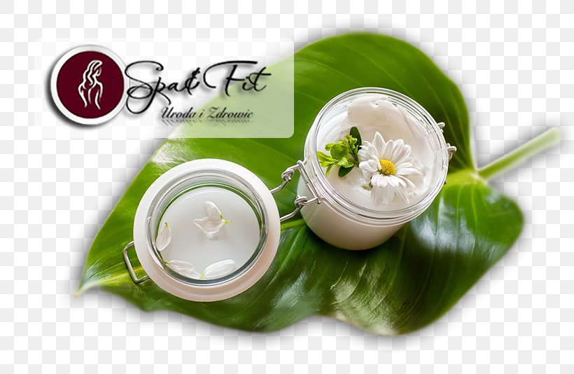 Cosmetics Ayurveda Skin Care Lotion Therapy, PNG, 816x534px, Cosmetics, Alternative Health Services, Ayurveda, Cream, Dish Download Free
