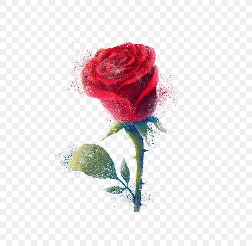 Samsung Galaxy Note Photographic Film Schermo, PNG, 800x800px, Samsung Galaxy Note, Artificial Flower, Beach Rose, Carnation, Cut Flowers Download Free