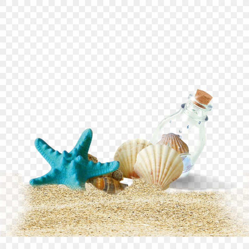 Shell Beach Bottle, PNG, 900x900px, Shell Beach, Beach, Bottle, Computer Graphics, Glass Download Free