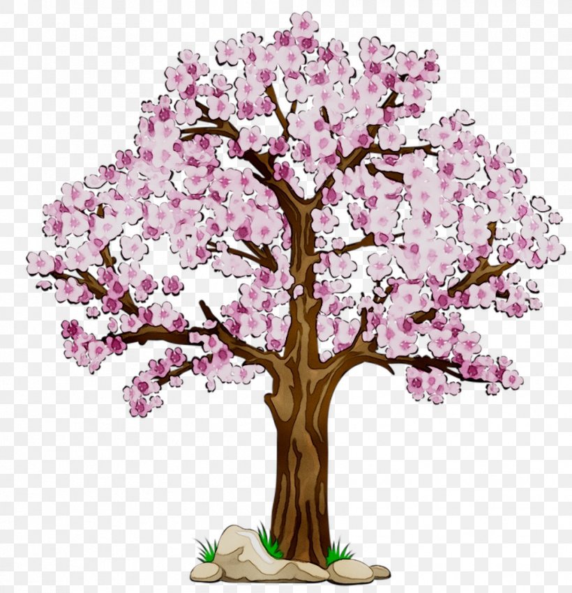 Vector Graphics Cherry Blossom Clip Art, PNG, 1008x1047px, Cherry Blossom, Blossom, Botany, Branch, Cut Flowers Download Free