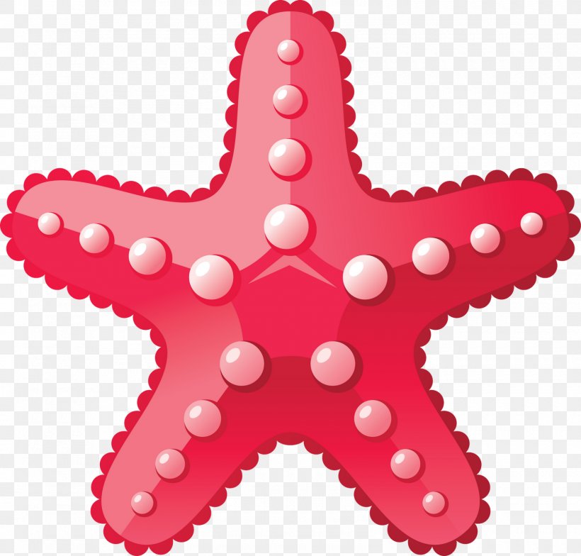 Desktop Wallpaper Starfish Clip Art, PNG, 1600x1531px, Starfish, Deep Sea Creature, Display Resolution, Drawing, Echinoderm Download Free