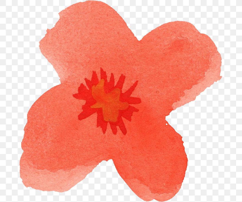 Flower Poppy Petal, PNG, 687x682px, Flower, Com, Display Resolution, Flowering Plant, Orange Download Free