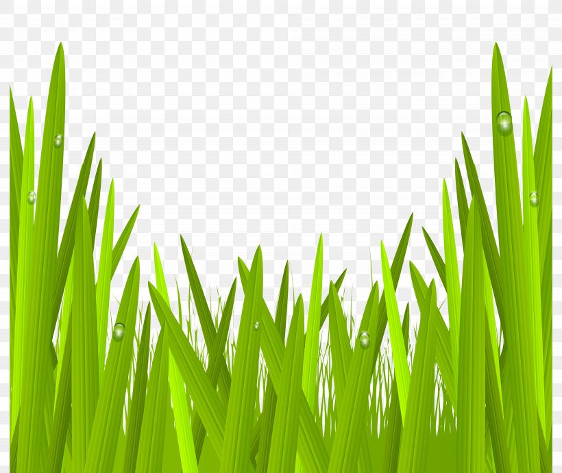 Lawn Clip Art, PNG, 8000x6751px, Lawn, Color, Commodity, Field, Flower Download Free