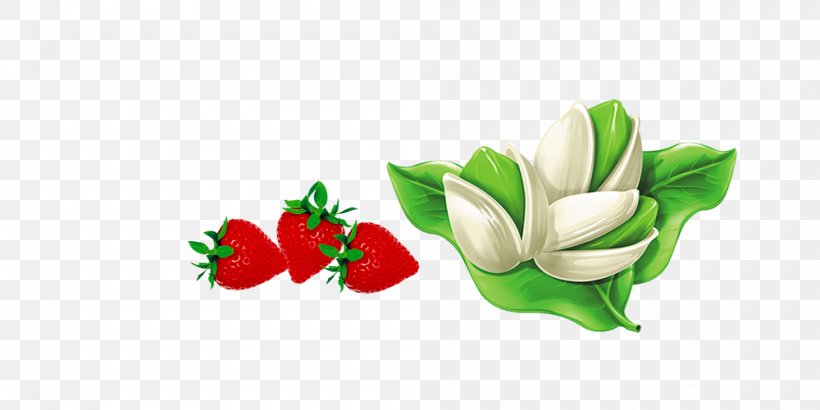 Pea Vegetable Leaf, PNG, 1000x500px, Pea, Floral Design, Floristry, Flower, Flowering Plant Download Free