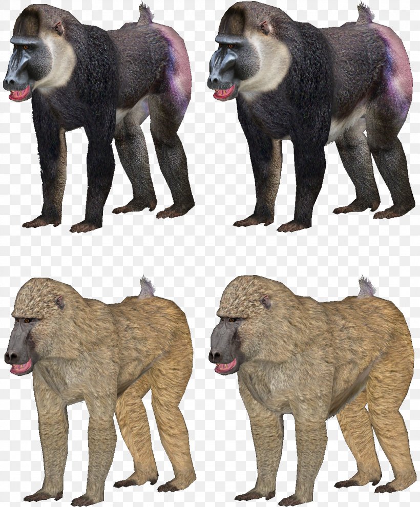 Baboons Mandrill Zoo Tycoon 2 Dog, PNG, 1228x1484px, Baboons, Animal, Augers, Baboon, Cercopithecidae Download Free