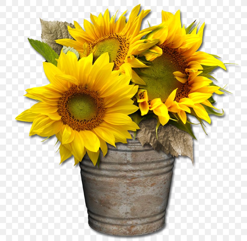 Digital Scrapbooking Common Sunflower Cut Flowers, PNG, 800x800px, Scrapbooking, Common Sunflower, Cut Flowers, Daisy Family, Digital Scrapbooking Download Free