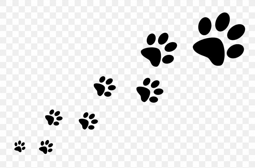 Dog Walking Pet Sitting Cat, PNG, 1920x1270px, Dog, Animal Allies Humane Society, Animal Shelter, Black, Black And White Download Free
