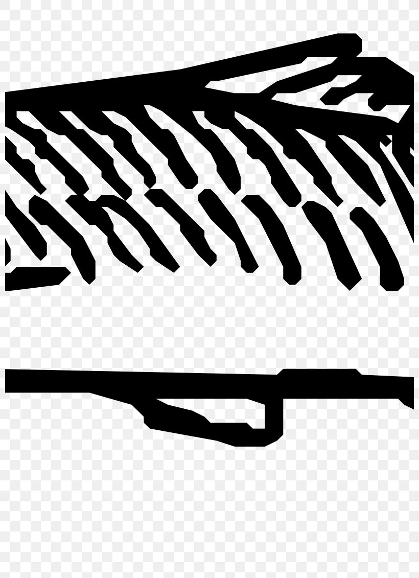 Art Forms In Nature Fish Aquatic Animal Clip Art, PNG, 800x1131px, Art Forms In Nature, Animal, Aquatic Animal, Black, Black And White Download Free