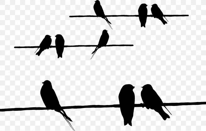Barbed Wire Beak Silhouette Feather Font, PNG, 1600x1017px, Barbed Wire, Beak, Bird, Black And White, Branch Download Free