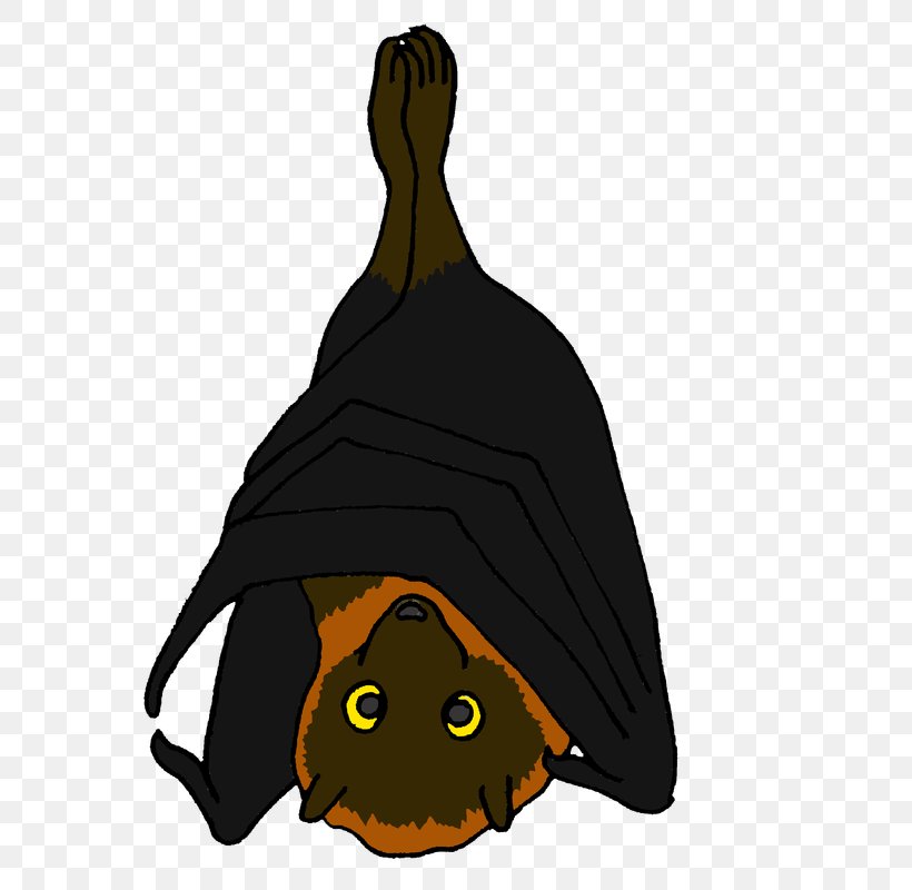 Bat Rodrigues Flying Fox Cat Leschenault's Rousette, PNG, 800x800px, Bat, Animated Film, Black, Carnivoran, Cartoon Download Free