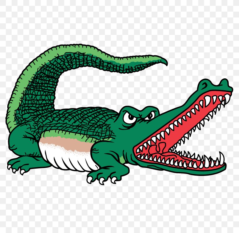Clip Art Image Stock Illustration Vector Graphics, PNG, 800x800px, Alligators, Alligator, American Alligator, American Crocodile, Amphibious Warfare Download Free