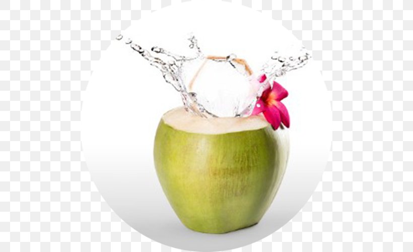 Coconut Water Stock Photography Juice Green, PNG, 500x500px, Coconut Water, Apple, Coconut, Depositphotos, Drink Download Free
