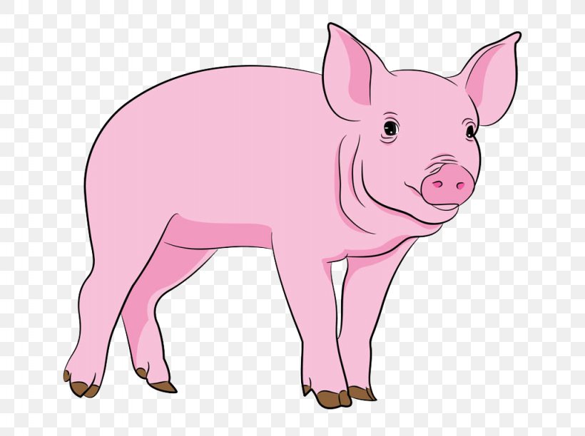 Domestic Pig Clip Art, PNG, 1024x765px, Domestic Pig, Animal, Animal Figure, Animal Welfare, Drawing Download Free