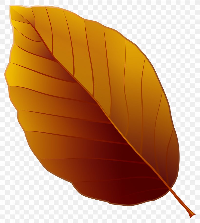 Image File Formats Filename Extension Computer File, PNG, 4877x5443px, Leaf, Autumn, Autumn Leaf Color, Clover, Color Download Free