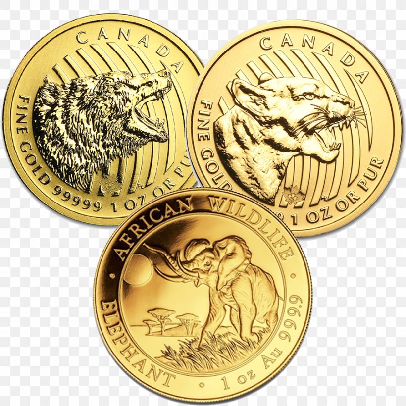Gold Coin Gold Coin Bullion Coin Proof Coinage, PNG, 900x900px, Coin, Brass, Bronze Medal, Bullion, Bullion Coin Download Free