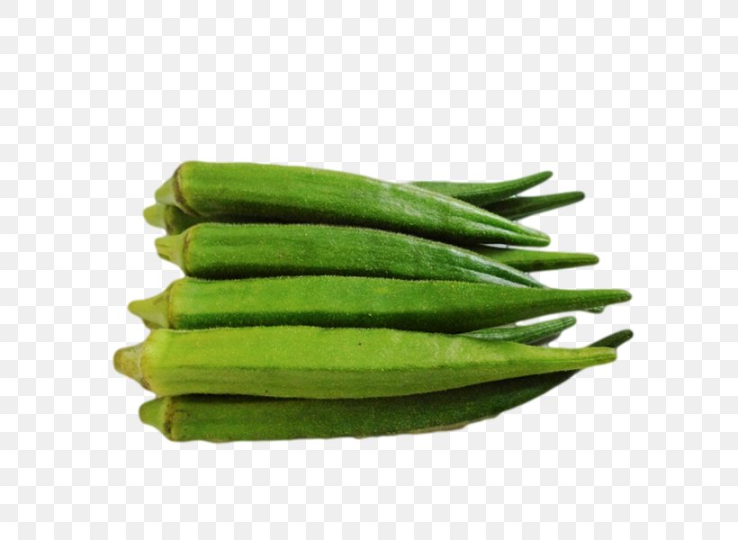 Green Bean Okra Vegetarian Cuisine Vegetable Gourd, PNG, 600x600px, Green Bean, Asparagus, Bean, Cucumber, Dietary Fiber Download Free