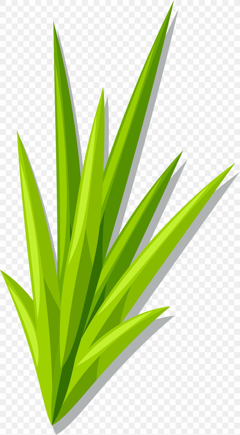 Green Cartoon Grass, PNG, 2000x3617px, Watercolor, Cartoon, Flower, Frame, Heart Download Free