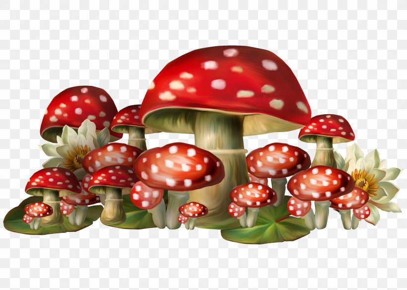 Mushroom Amanita Muscaria Clip Art, PNG, 2399x1710px, Brescia, Food, Fruit, Fungus, Lombardy Download Free