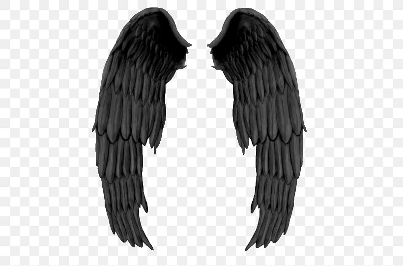 Fallen Angel Drawing Darkness, PNG, 500x541px, Angel, Beak, Bird Of Prey, Black, Black And White Download Free