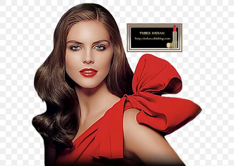 Hilary Rhoda Estée Lauder Companies Model Hair Coloring Origins, PNG, 600x582px, Hilary Rhoda, Aerin Lauder, Beauty, Beauty Parlour, Brown Hair Download Free